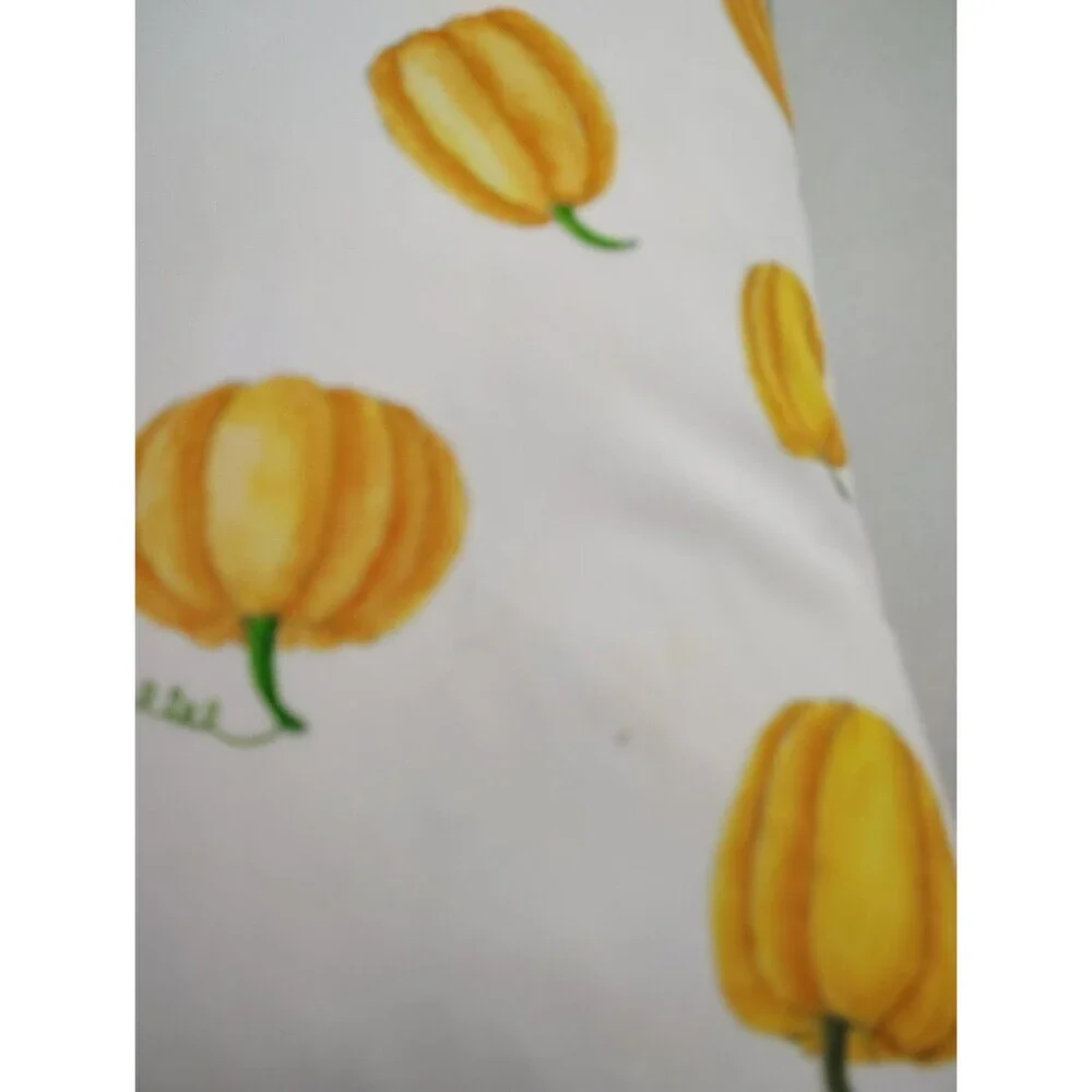 Rae Dunn Autumn Pumpkin Accent Pillows Feather Down Insert Removable Covers